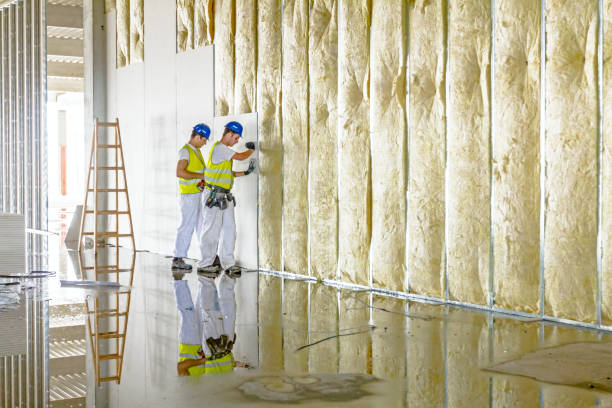 Types of Insulation We Offer in Medina, MN